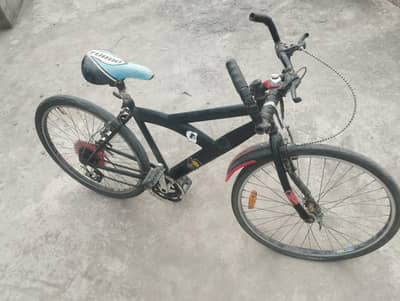 CYCLE REASONABLE