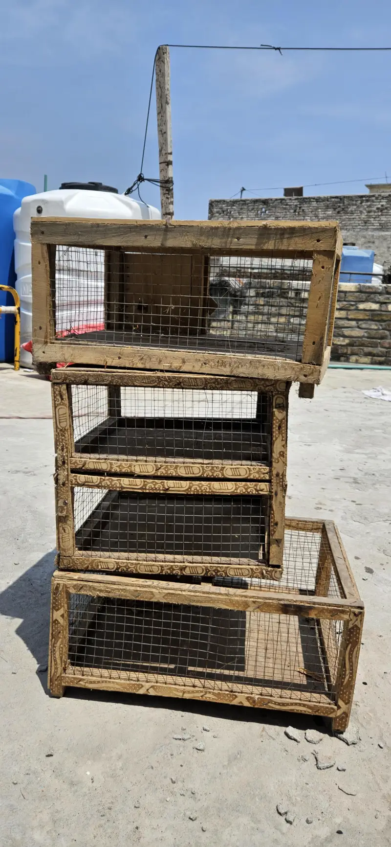 Cages parrots boxes and accessories pots — photo 3