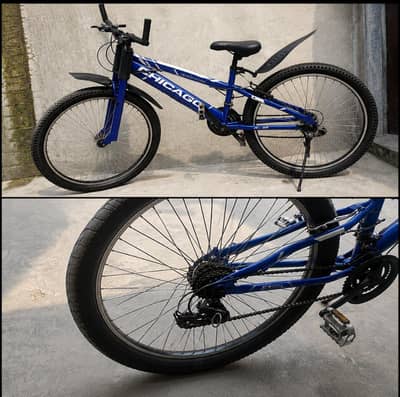 cycle with geirs