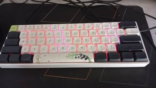 Skyloong Gk61 panda