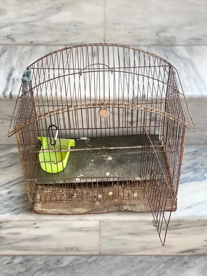 Paroot cage hen cage chicks cages for sale at resonable price — photo 2