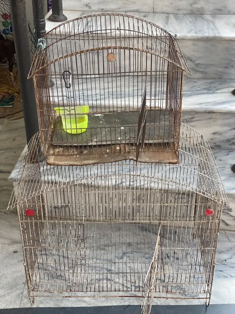 Paroot cage hen cage chicks cages for sale at resonable price — photo 3