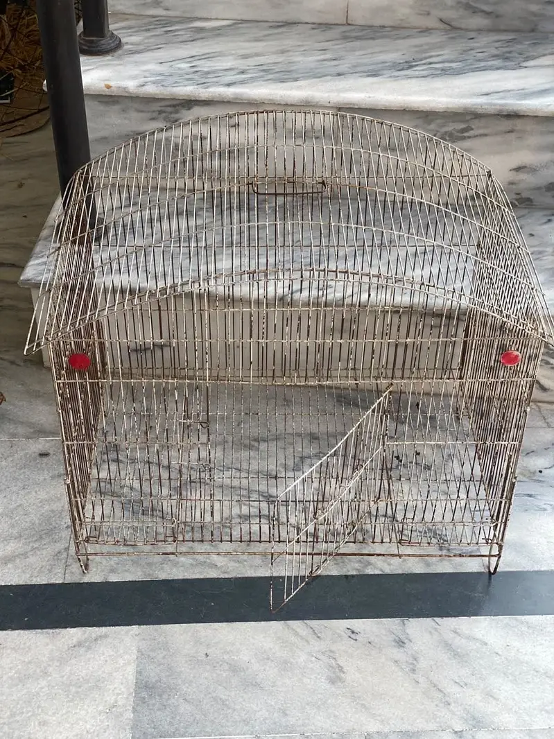 Paroot cage hen cage chicks cages for sale at resonable price — photo 4
