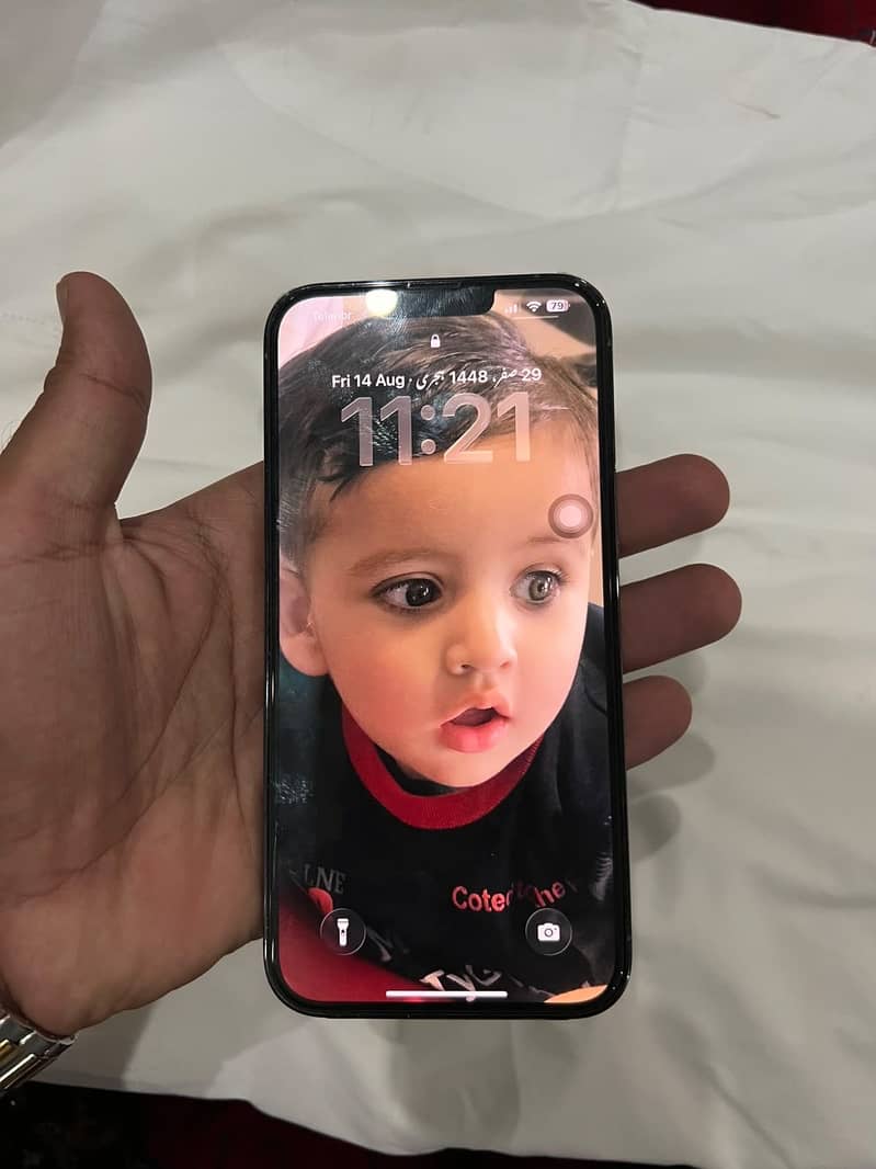 Apple iPhone 13 Pro Max 0