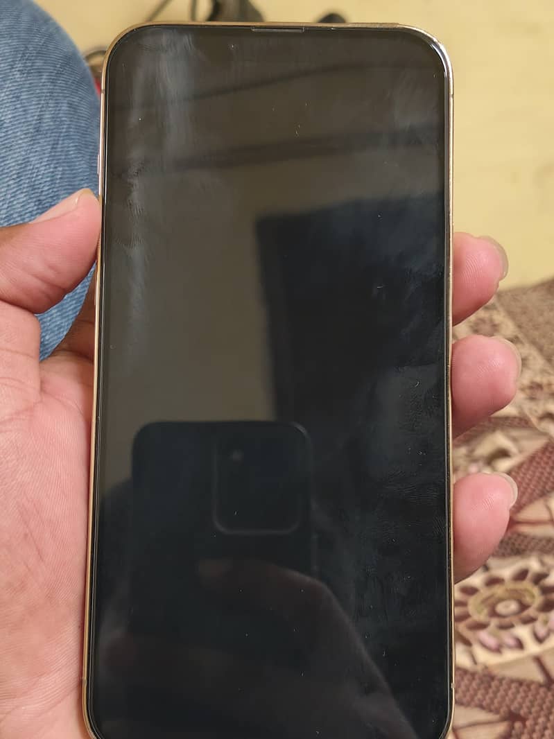 Apple iPhone 13 Pro Max 2