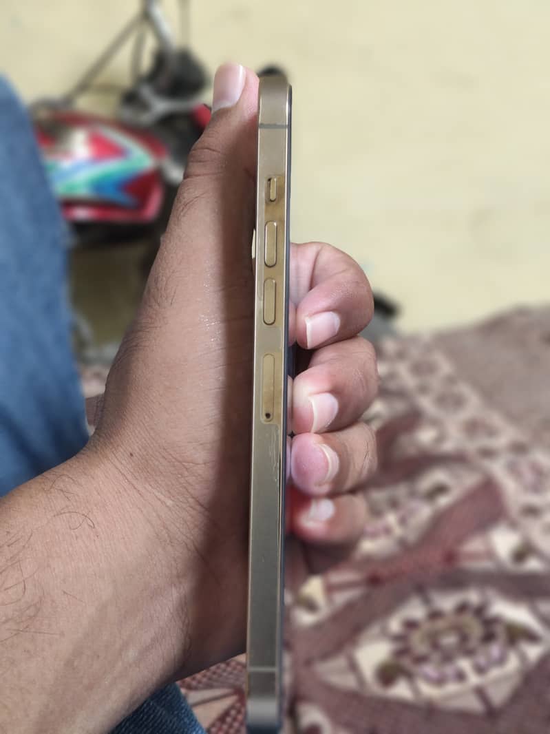 Apple iPhone 13 Pro Max 5