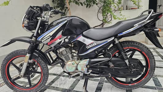 ybr125g