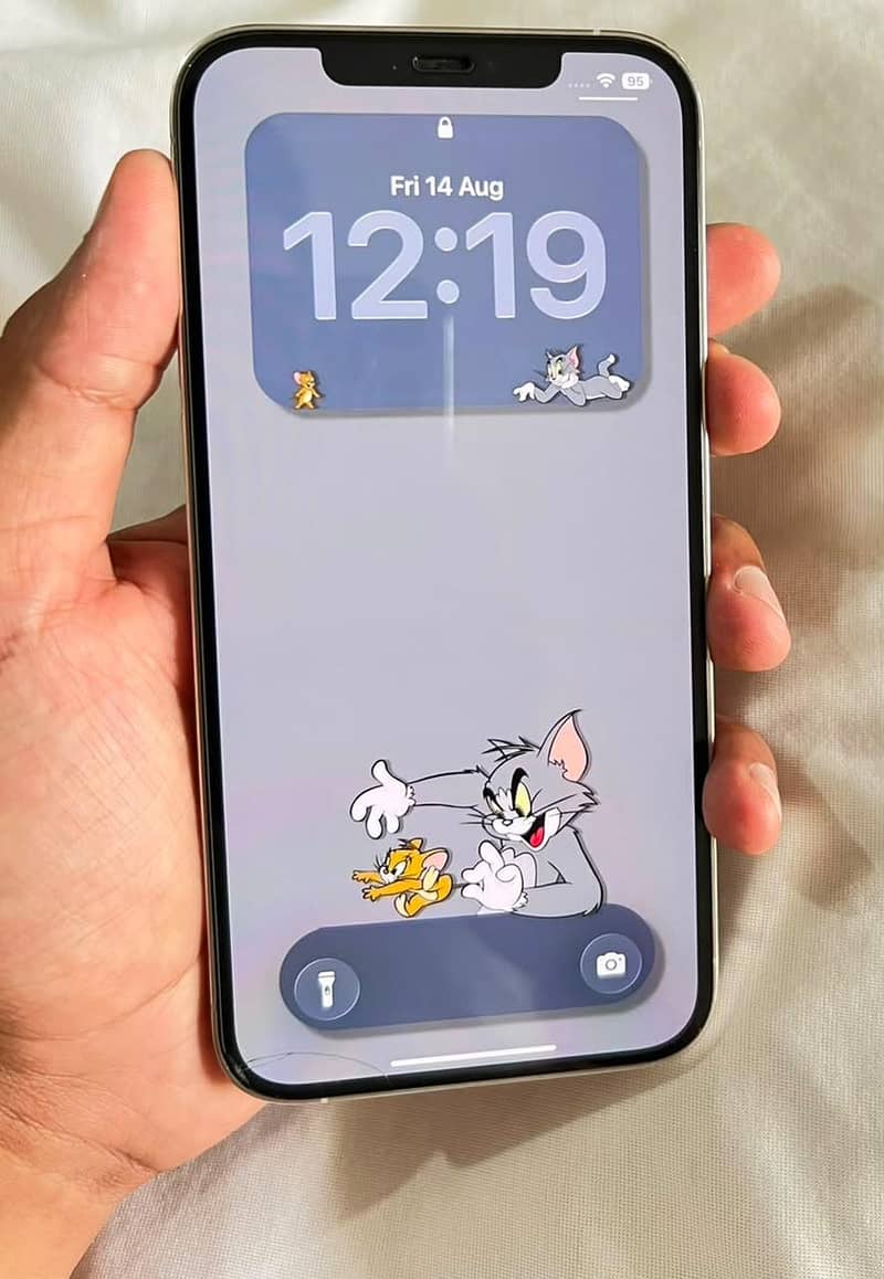 Apple iPhone 12 Pro Max 4