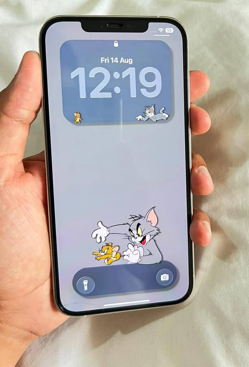 Apple iPhone 12 Pro Max 7