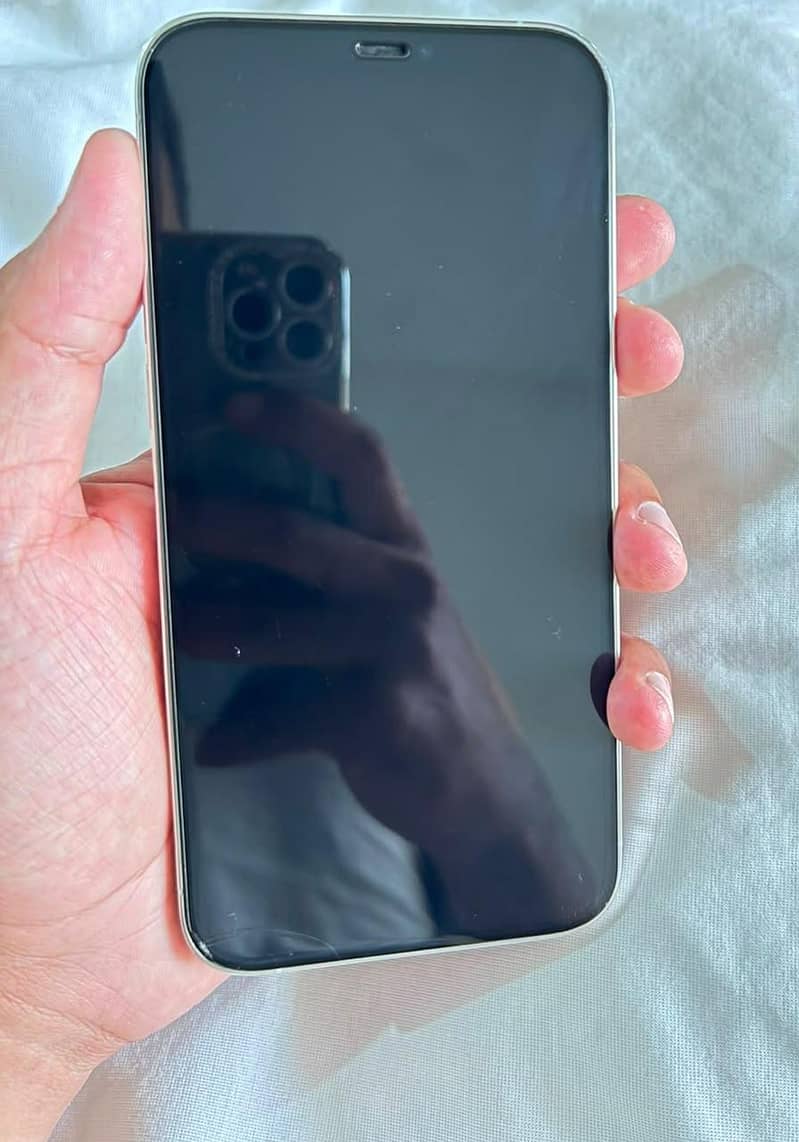 Apple iPhone 12 Pro Max 9