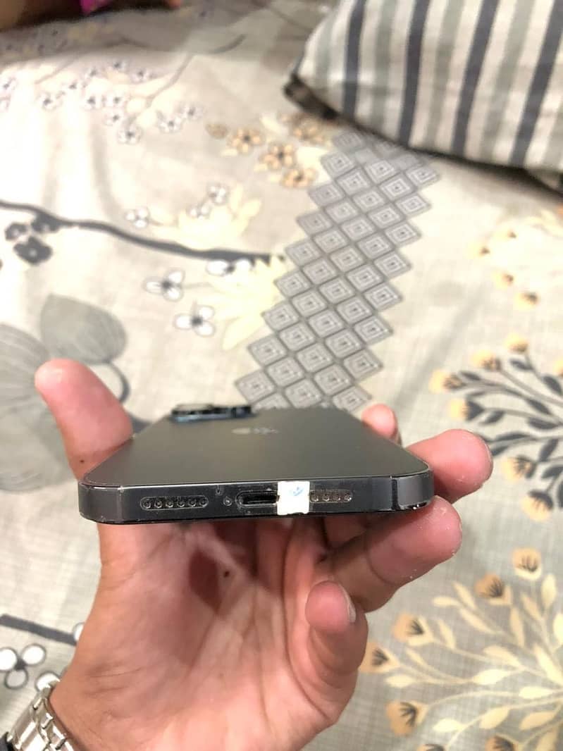 Apple iPhone 13 Pro Max 1