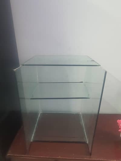 samosa cart box