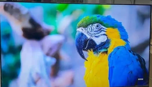 Original ORIENT Led Tv 32 inches Simple Excellent Conditions