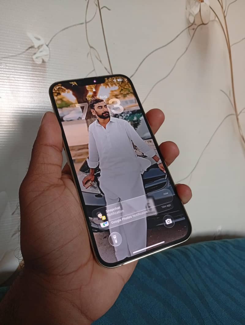 Apple iPhone 13 Pro Max 2