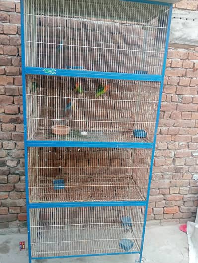 03026065552 urgent sale