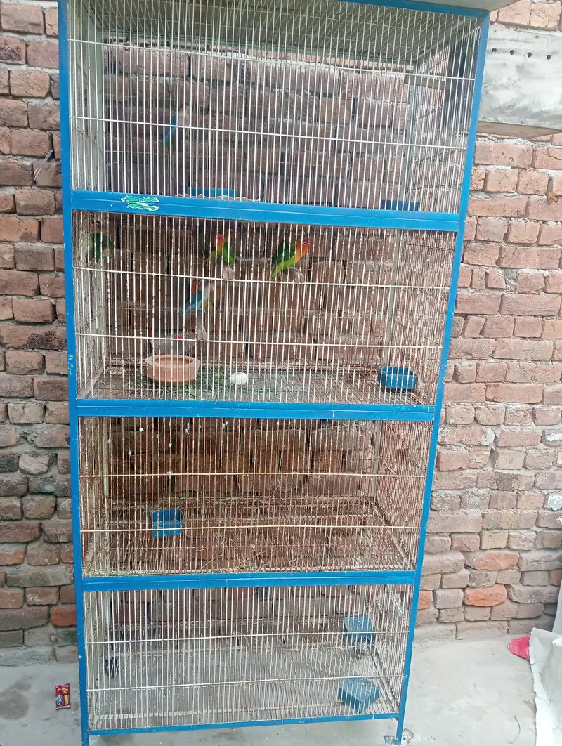 03026065552 urgent sale