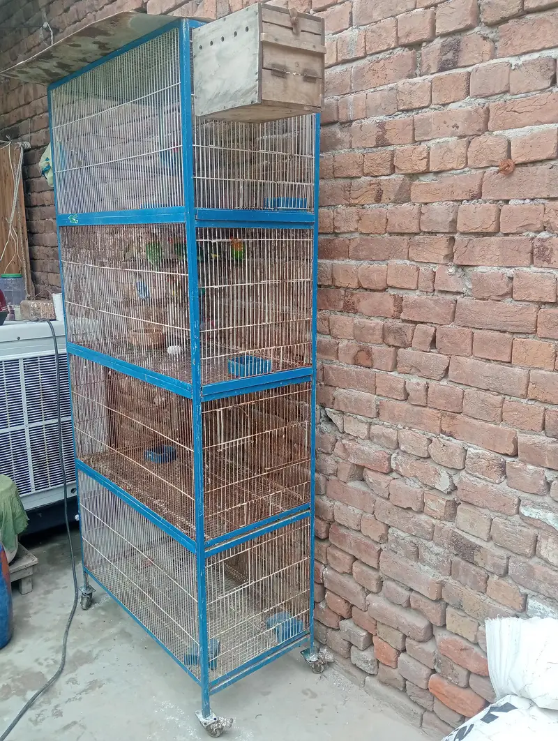 03026065552 urgent sale — photo 4