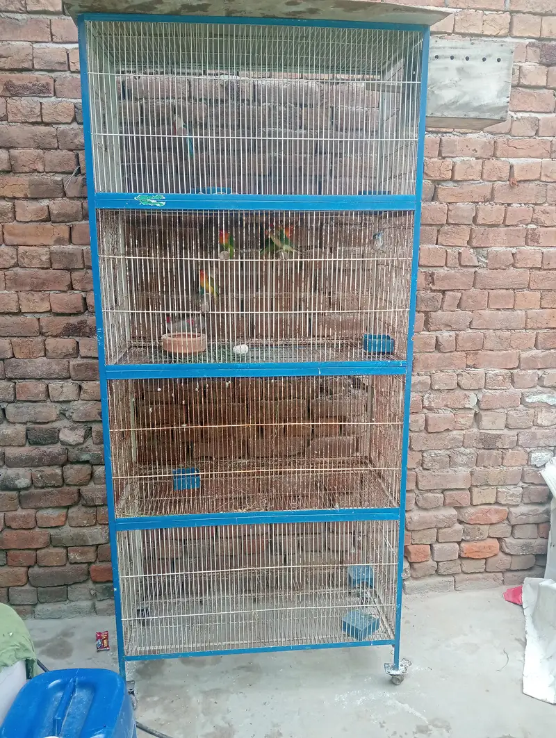 03026065552 urgent sale — photo 7