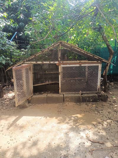 hen cage pinjra