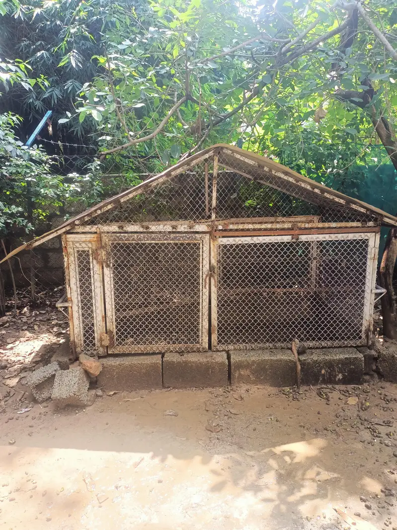 hen cage pinjra — photo 3