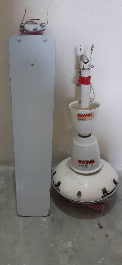 Royal ceiling fan