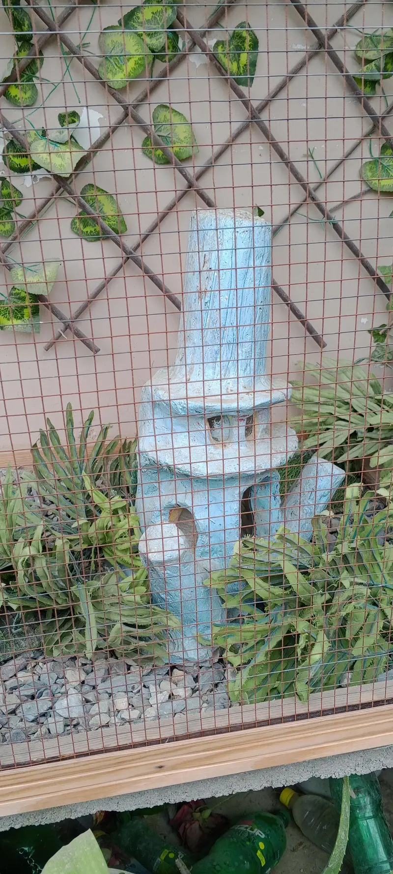 beautiful birds colony — photo 2