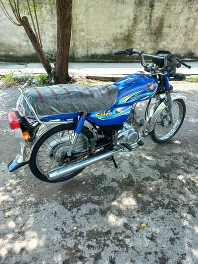 HONDA CD70 2024 LUSH (0306.6655410