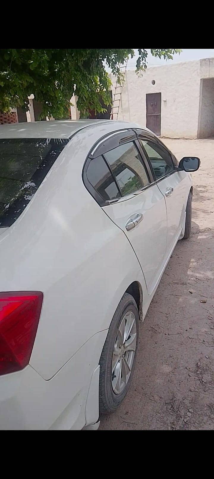 ارجنٹ سیل 18