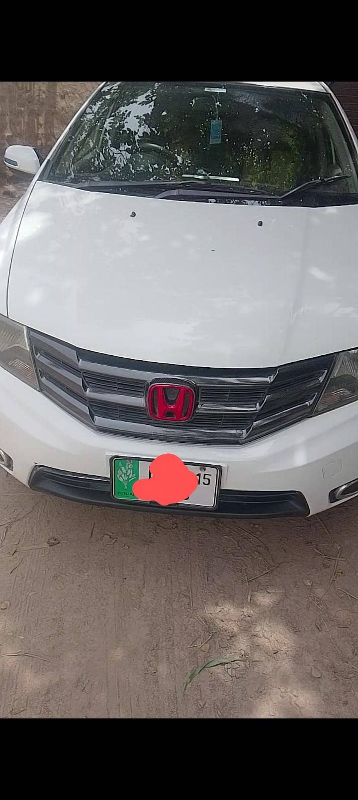 ارجنٹ سیل 19
