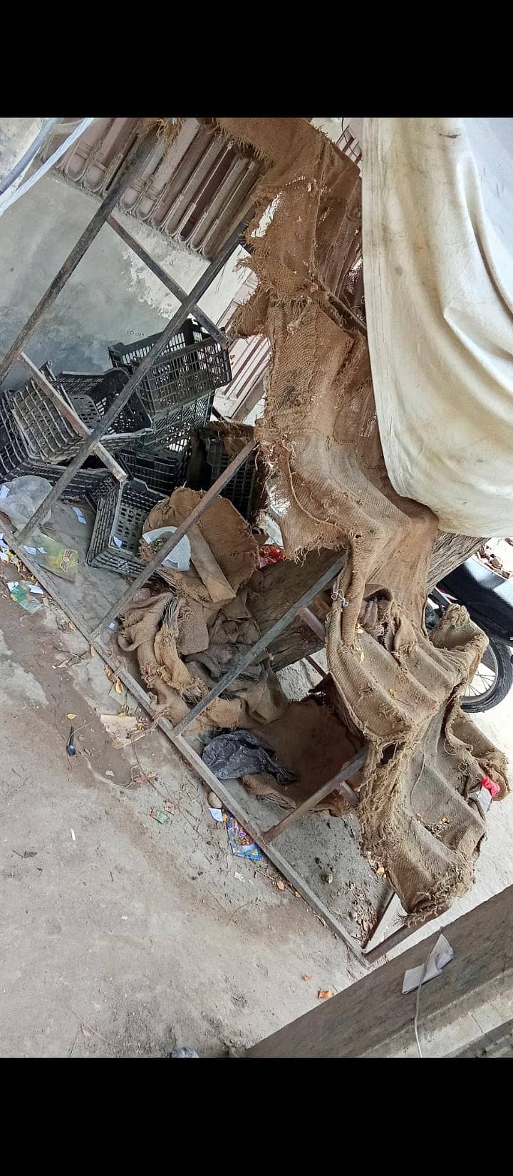 Sabzi frame 1