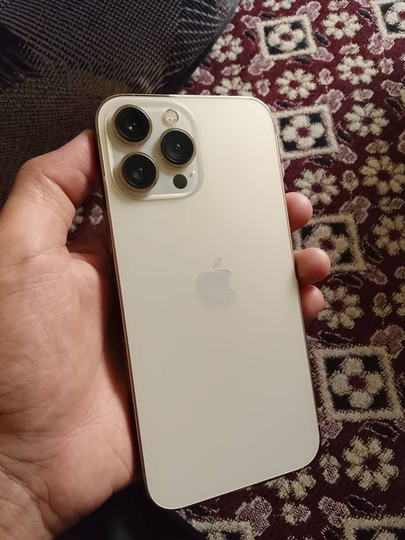 Apple iPhone 13 Pro Max 0
