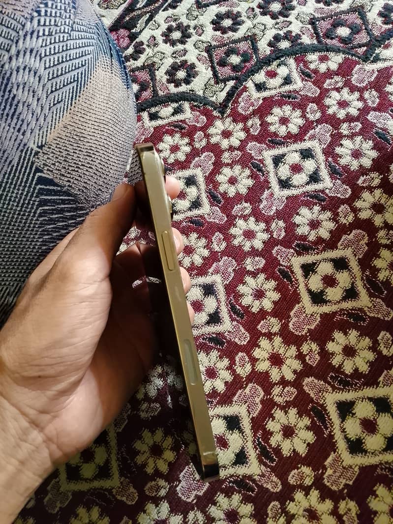 Apple iPhone 13 Pro Max 2