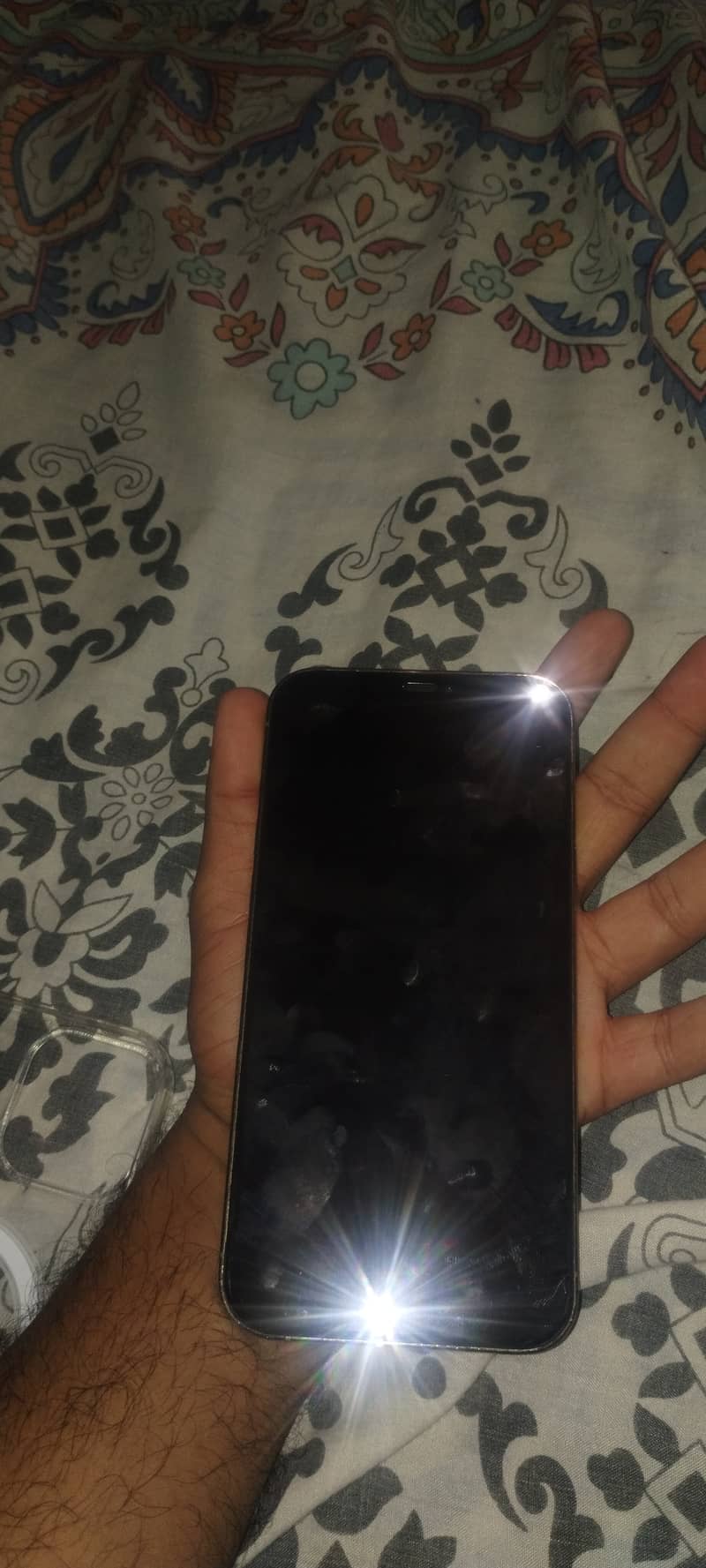 Apple iPhone 12 Pro Max 1