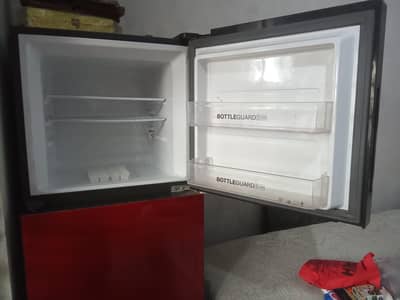 new freezera