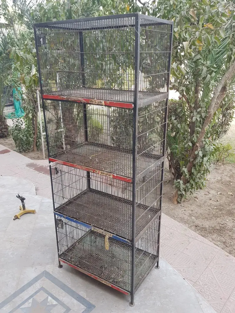 4 portion bird cage available — photo 3
