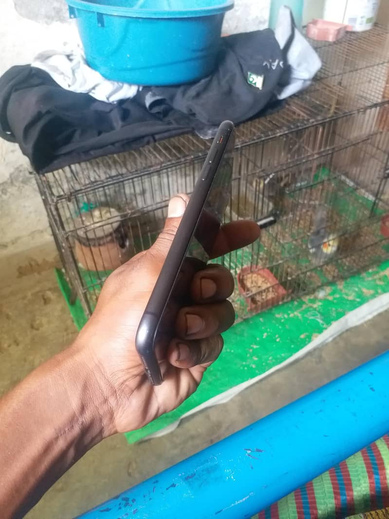 Apple iPhone 11 3