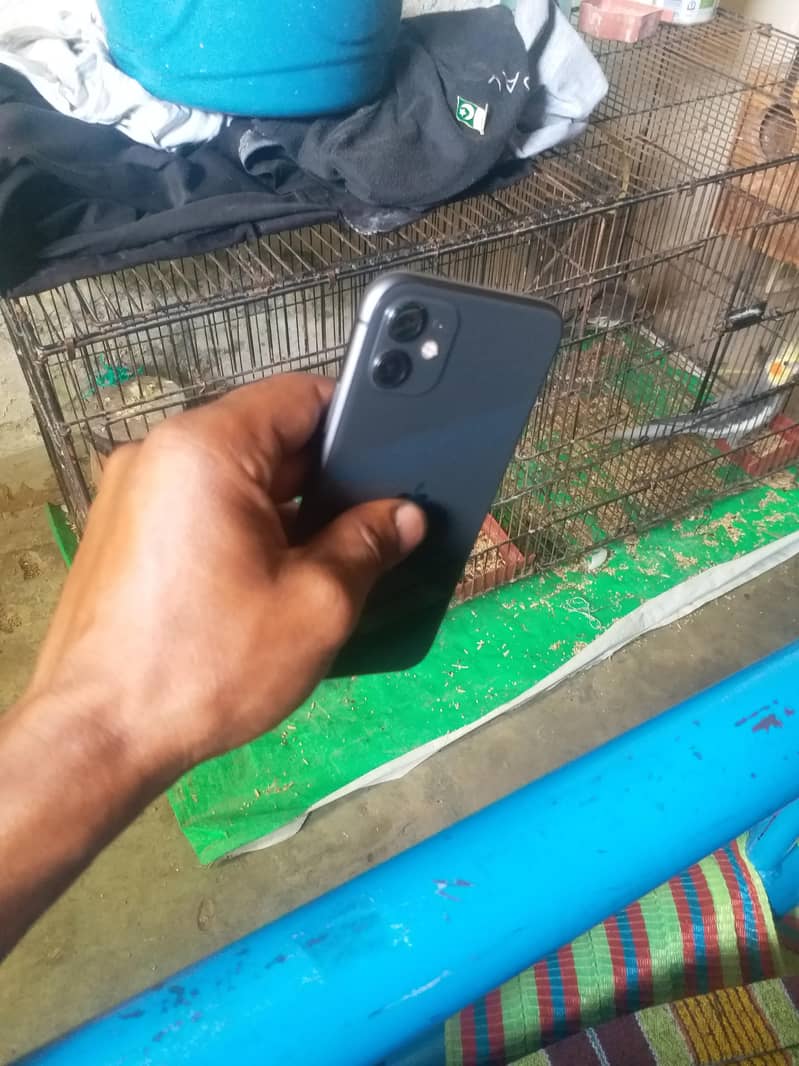 Apple iPhone 11 6