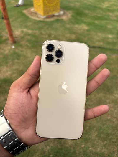 Apple iPhone 12 Pro 128gb Waterpack