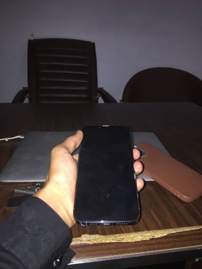 Apple iPhone 13 Pro Max 1