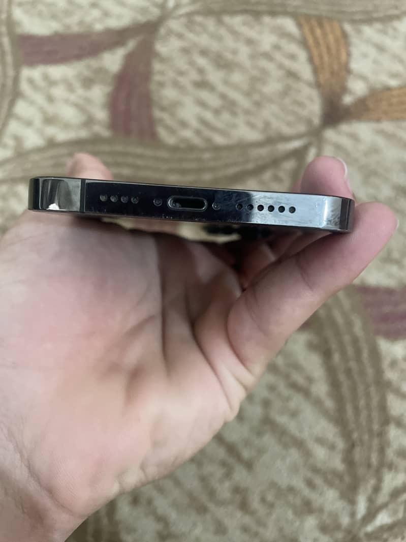 Apple iPhone 13 Pro Max 1