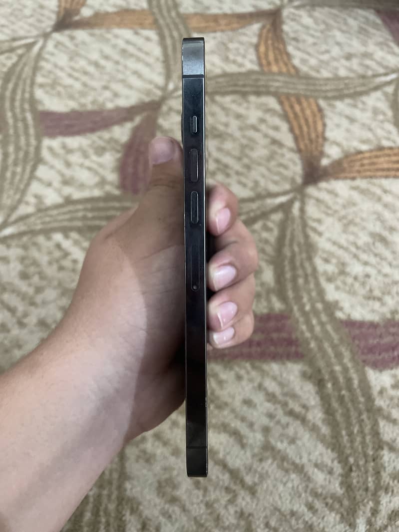 Apple iPhone 13 Pro Max 2