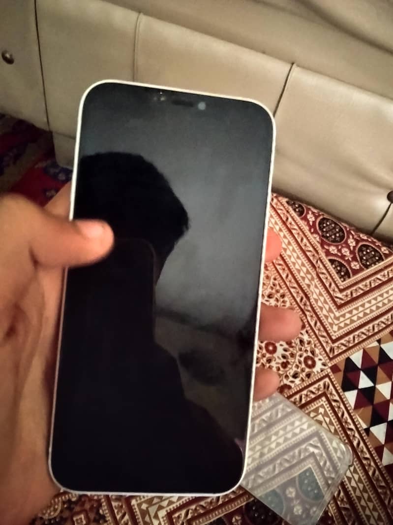 Apple iPhone 12 1