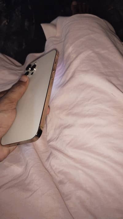 Apple iPhone 12 Pro Max