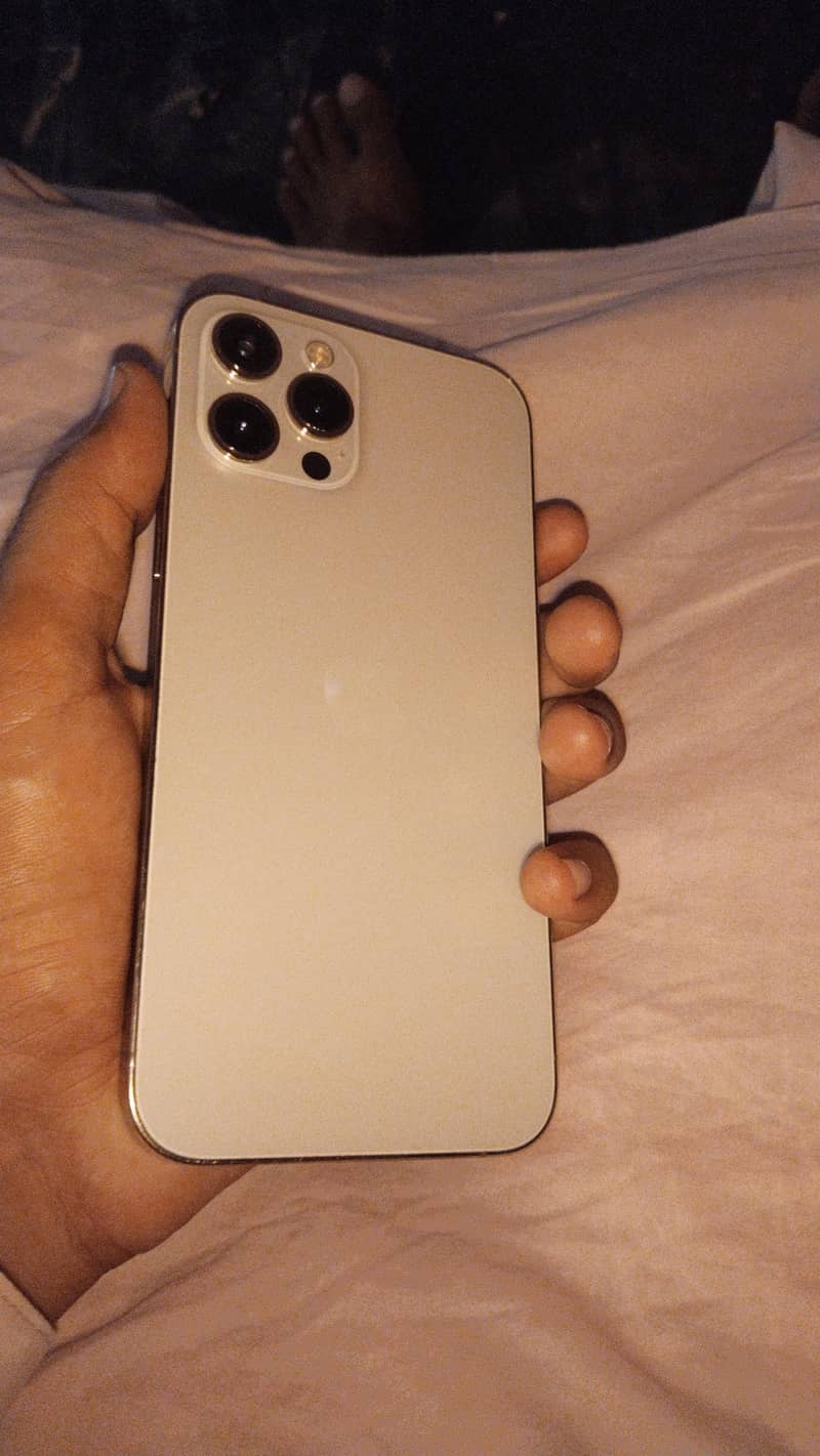 Apple iPhone 12 Pro Max 1