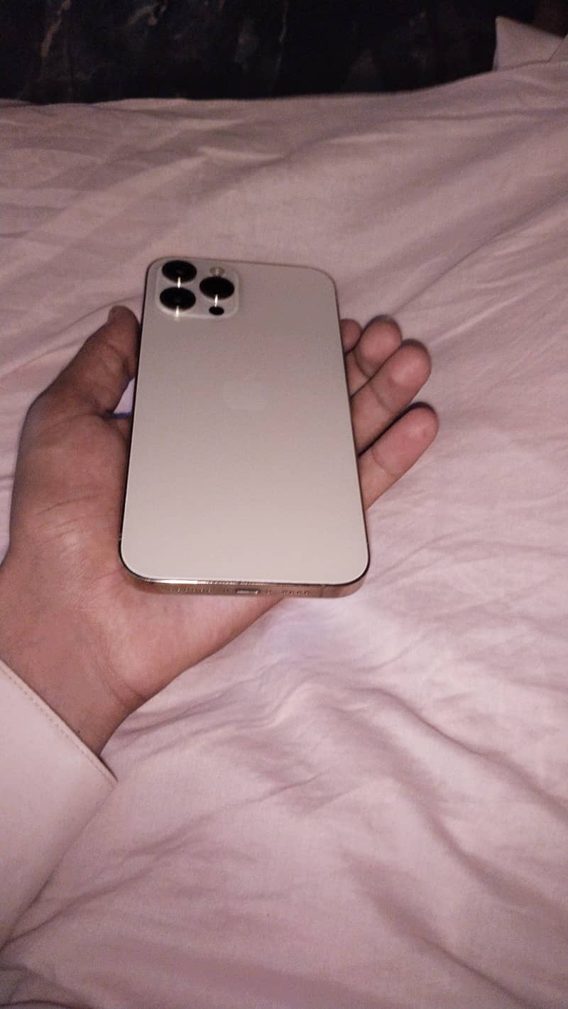 Apple iPhone 12 Pro Max 2