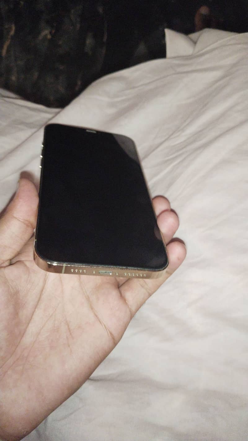 Apple iPhone 12 Pro Max 3