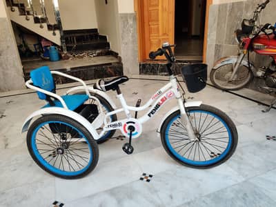 3 wheel children Bicycle