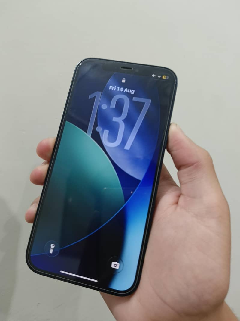 Apple iPhone 12 2