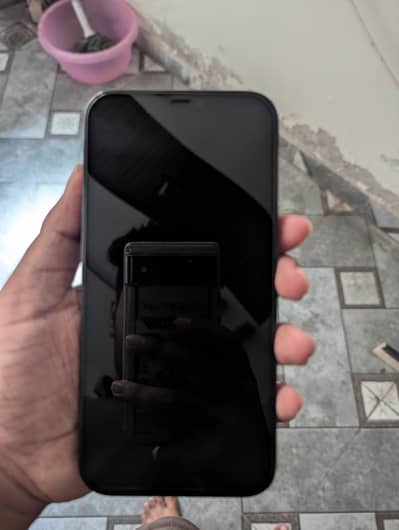 Apple iPhone 12 Pro Max