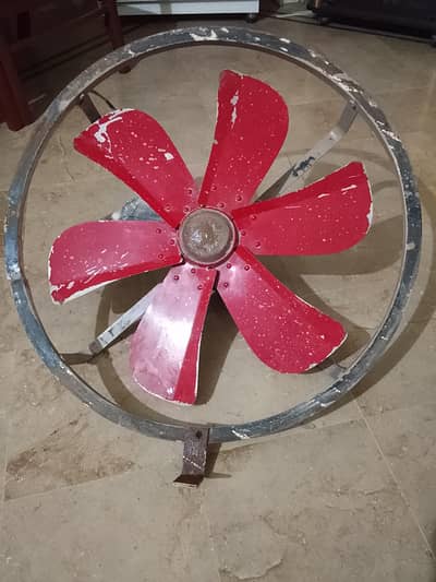 Exous Fan